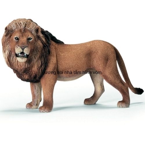 mô hình sư tử schleich 14373